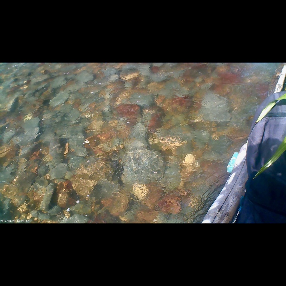 Meet your Posher, Catherine